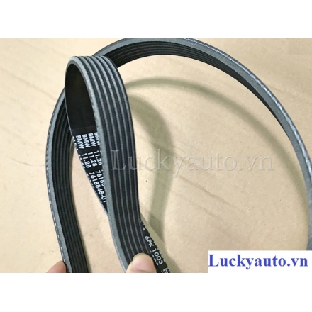 Dây curoa xe BMW 320i đời 2015_ 11287618848_  11 28 7 618 848